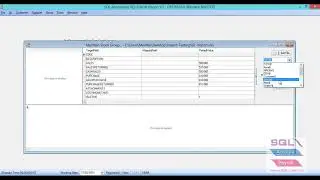 SQL ACCOUNT SOFTWARE | Import Excel Stock (Data Import) | IPOHONLINE
