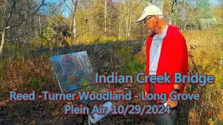 Indian Creek Bridge - Reed -Turner Woodland - Long Grove - Plein Air  10 /29 /2024
