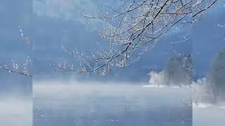 ДУХОВНОЕ РЕШЕНИЕ ПРОБЛЕМ