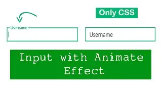 Input with Animation Effect | UI Design | HTML CSS | animated input in Hindi