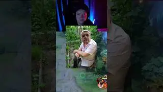 Головач слетал в Японию #dota2 #dota #дота2 #дота2