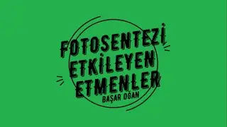 Fotosentez -2 ( LGS ) 8. SINIF