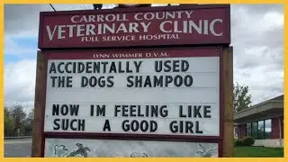 The Funniest Outdoor Signs From This Vet Clinic To Make You Crack A Smile