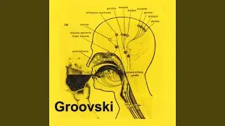 Social Skills (Device)
