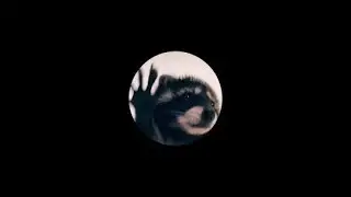 (1H VERSION) Carrà - Pedro (Jaxomy & Agatino Romero Remix) TIKTOK  remix