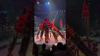 "Шесты с флагами" п/р Гао Вэйсин. Идол-2024