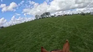 Swalcliffe XC Schooling March 2024. Pete’s first ever XC round 🧡