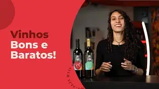 Vinhos Bons e Baratos em 2022 | Evino