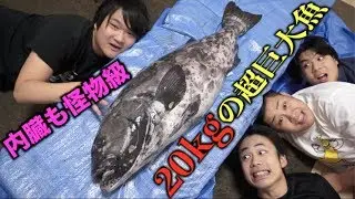 フィッシャーズと20kg超えの超巨大魚さばいたらこうなるwwww