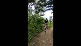 Horse Back Riding