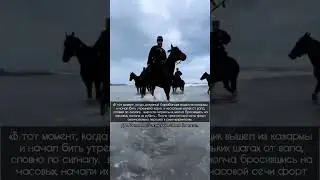 Черкесы на Черкесских лошадях.