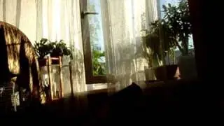 Жако Кима... 5-30 утра.