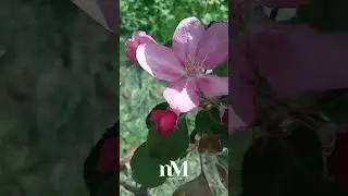 Молитва вечірня перед сном 