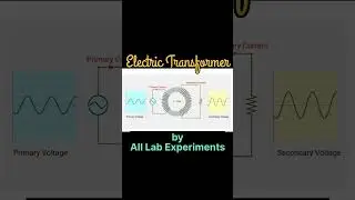Transformer Working | Easy Understanding #scienceshorts #iitjee #neet