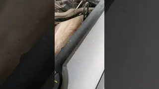 Мазда 6 1,8 gg 2006 год. Шум при оборотах 2750-3000