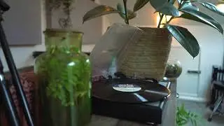 2021 Lofi Hip Hop Mix // Mondo Loops Lofi Beats of 2021 [Dreamy Lofi Mix]