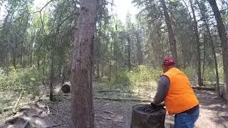 BAITING BEAR CHARGE KRIS BOAT BLIND