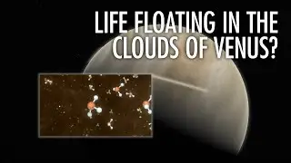 Does Venus Have Life? With Dr. Janusz Petkowski