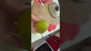 Пастила из груши в дегидраторе 