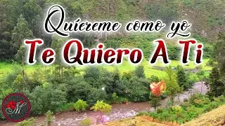 Quiereme tanto COMO YO TE QUIERO A TI ❤️ Intenta ver este video sin llorar ❤️ Mensajes de amor