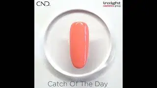 CND Nauti Nautical Catch of the day