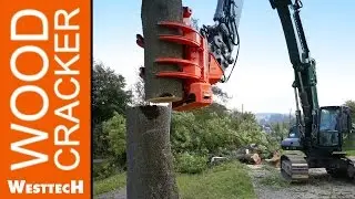 Woodcracker C450 and CS780 in Action at Baumpflege Gebele