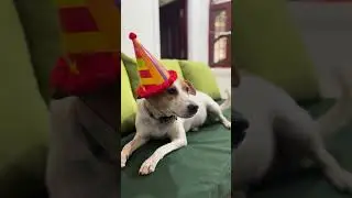 It's Raining Hats!