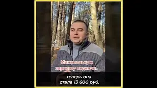 Как выжить на минималку?