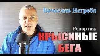 Крысиные бега. Репортаж
