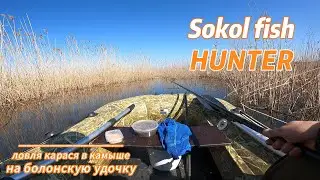 Сколько же рыбы в этой луже?!