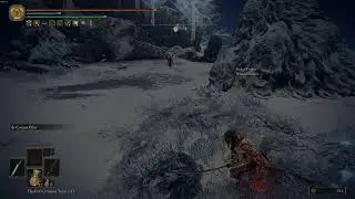 Elden Ring - Bush ambush