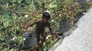 Kids Swimming In Dirty Water In Manila Bay