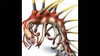 Hallucigenia is big enough