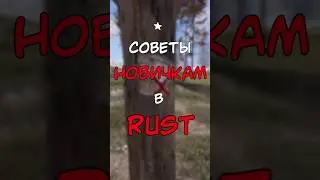 СОВЕТЫ НОВИЧКАМ В РАСТ / RUST #раст #rustshorts #rustобновление #rustnews #rust