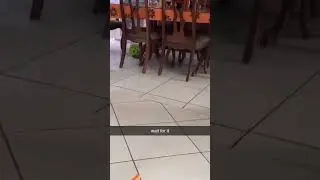 i hear a hunter