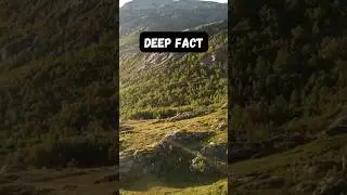 "Unveiling the Mysteries of the Mind: Surprising Deep Facts About the Brain!"