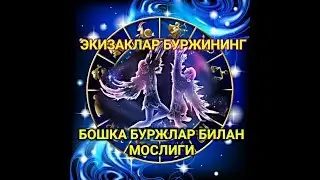 ЭКИЗАКЛАР БУРЖИНИНГ БОШҚА БУРЖЛАР БИЛАН МОСЛИГИ