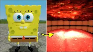 What's Inside SPONGEBOB in Garry's Mod!