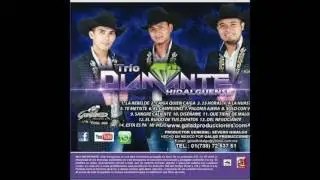 EL CAMPESINO, TRIO DIAMANTE HIDALGUENSE