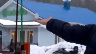 Птички на Гардарике