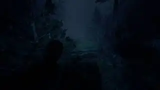 Outlast2 #1  HJÄLP MIG
