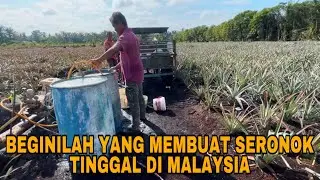 BEGINILAH YANG MEMBUAT SERONOK TINGGAL DI MALAYSIA