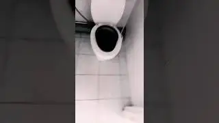 тубзик больше не чувствует #shorts #tiktok #shorts #memes #meme #вацок