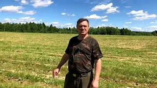 Натаска собаки на птицу