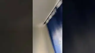 janda muda 