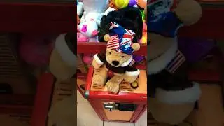 ПАПА ВЫИГРАЛ КЛАССНОГО МИШКУ #toys #игрушки #хватайка #clawmachine