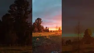 ОПАСНЫЙ ВЕЛОПОХОД в Алтайскую тайгу