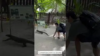 #phuket