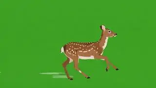 Deer Animal Running Green Screen | Animal Stampede Green Screen
