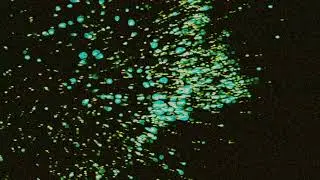 Sufjan Stevens - Incantation VIII - Convocations [Official Audio and Visual]